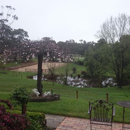 Karinya Park Apartment Healesville Exterior photo